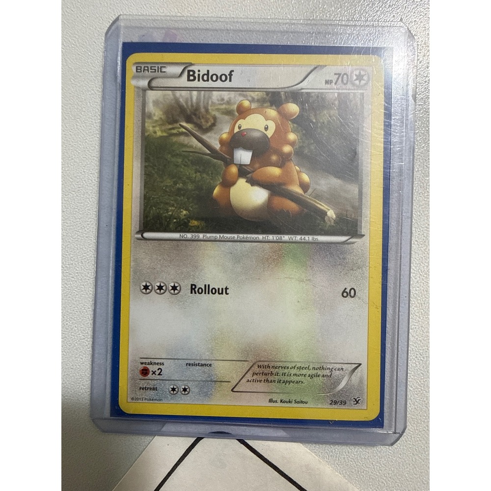 Pokemon Bidoof 29/39 Kalos Starter Set 2013 Common TCG Card XY Series